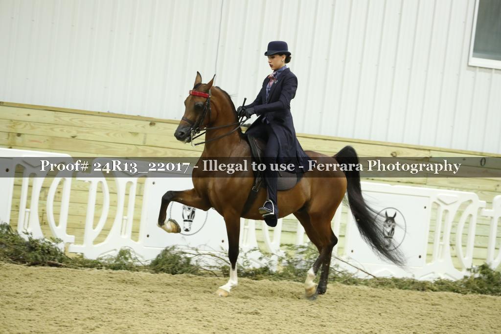 Proof 24R13_22017