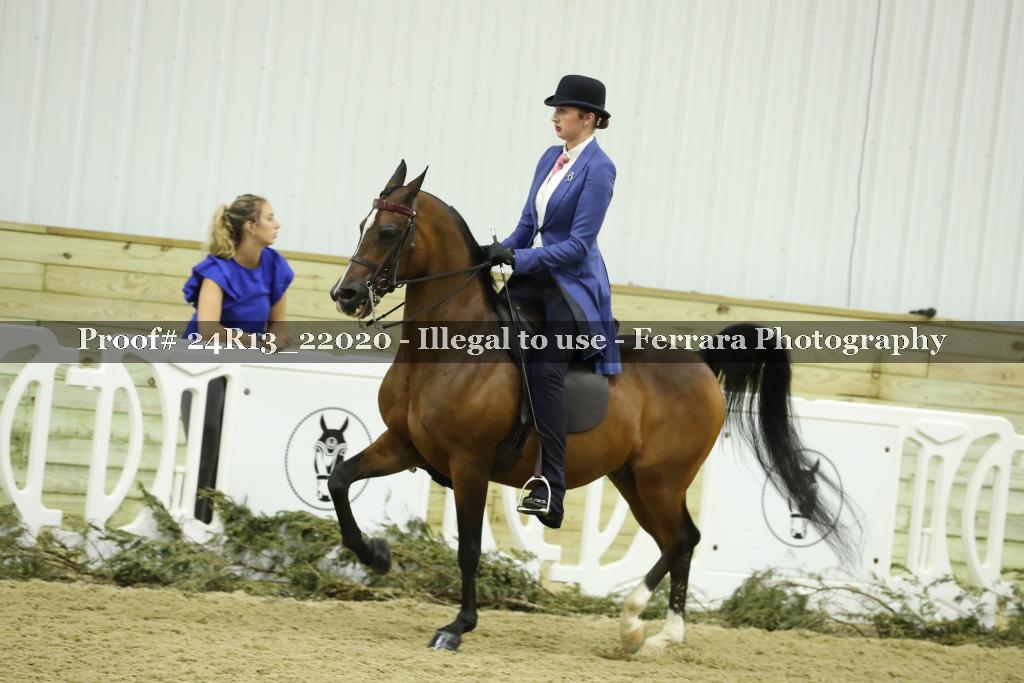Proof 24R13_22020