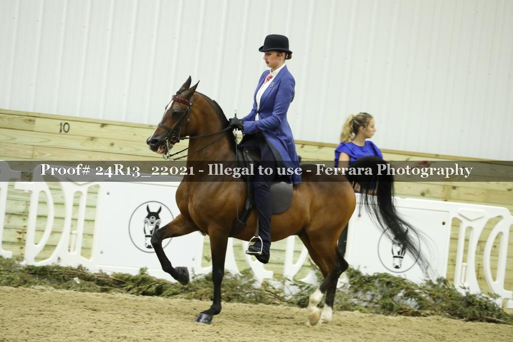 Proof 24R13_22021