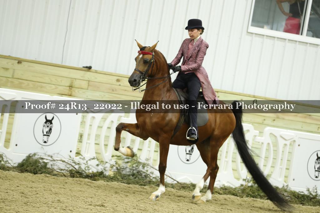 Proof 24R13_22022