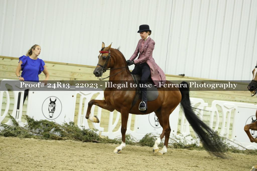 Proof 24R13_22023