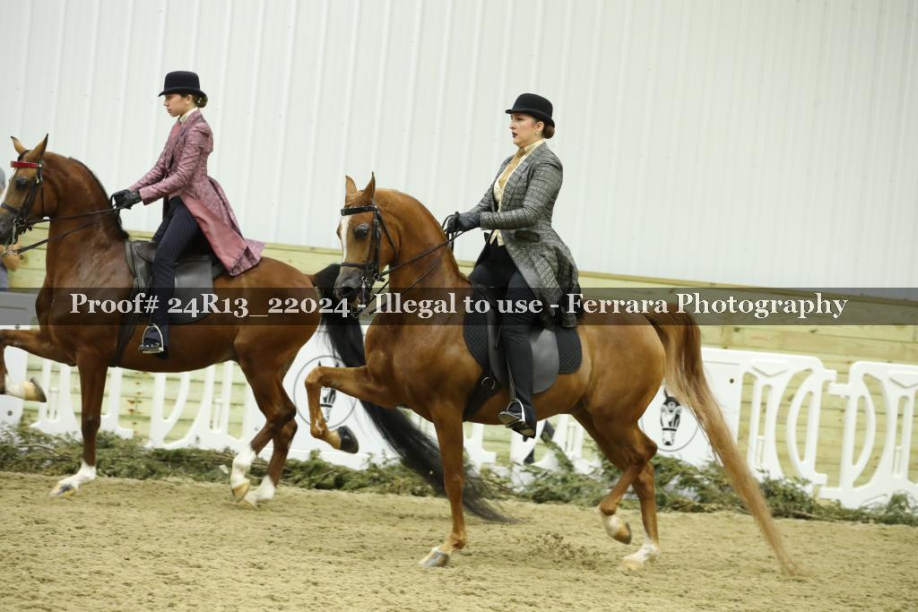Proof 24R13_22024