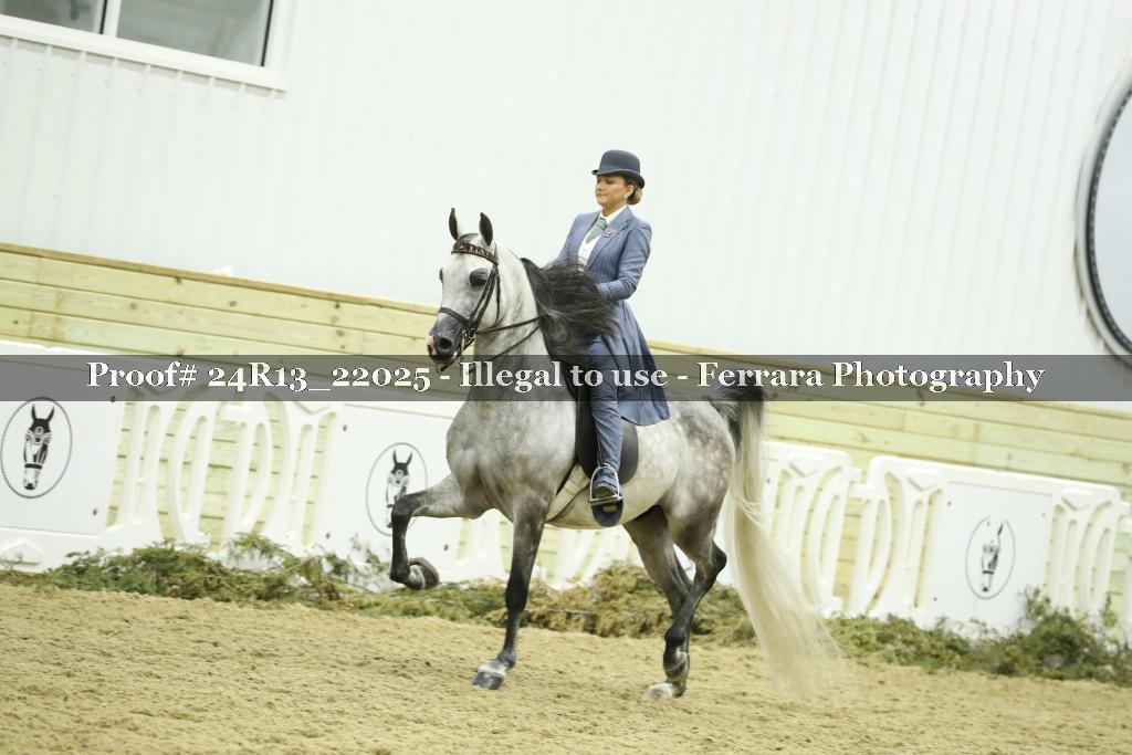 Proof 24R13_22025