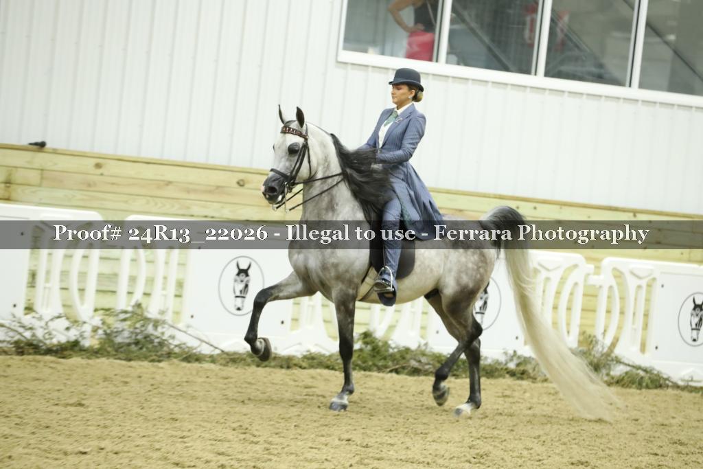 Proof 24R13_22026