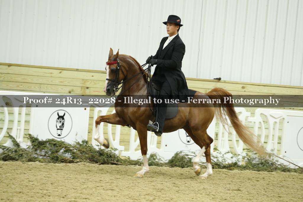 Proof 24R13_22028