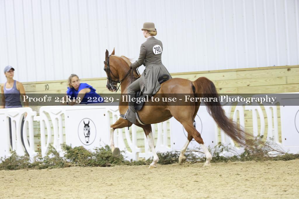 Proof 24R13_22029