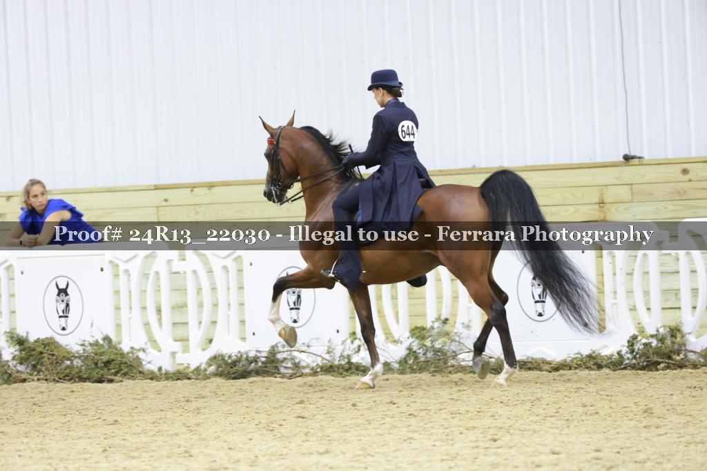Proof 24R13_22030