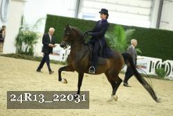 24R13_22031 proof