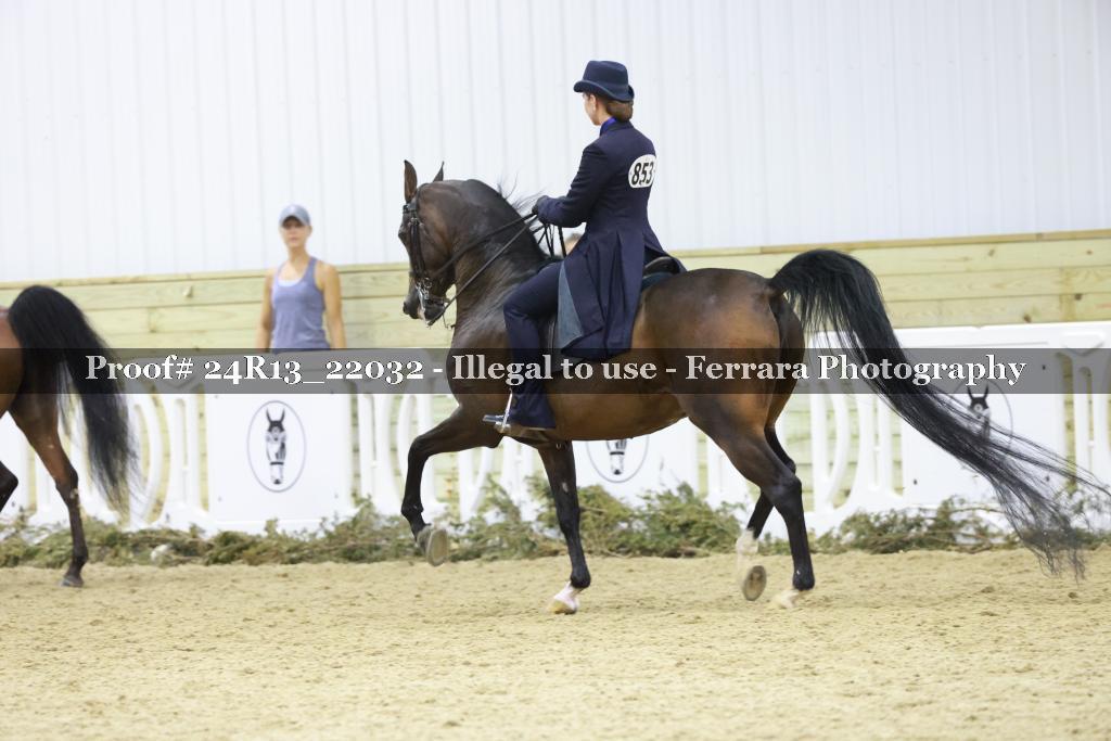 Proof 24R13_22032