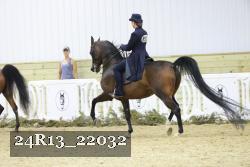 24R13_22032 proof