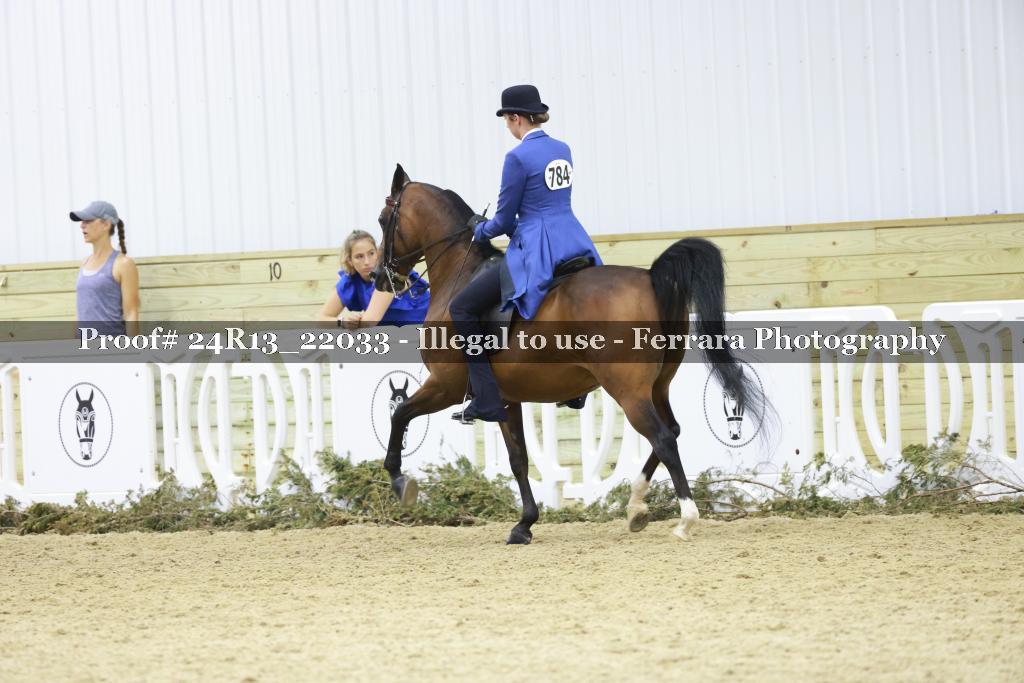 Proof 24R13_22033