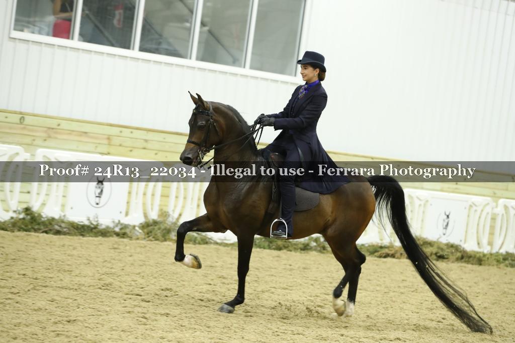 Proof 24R13_22034