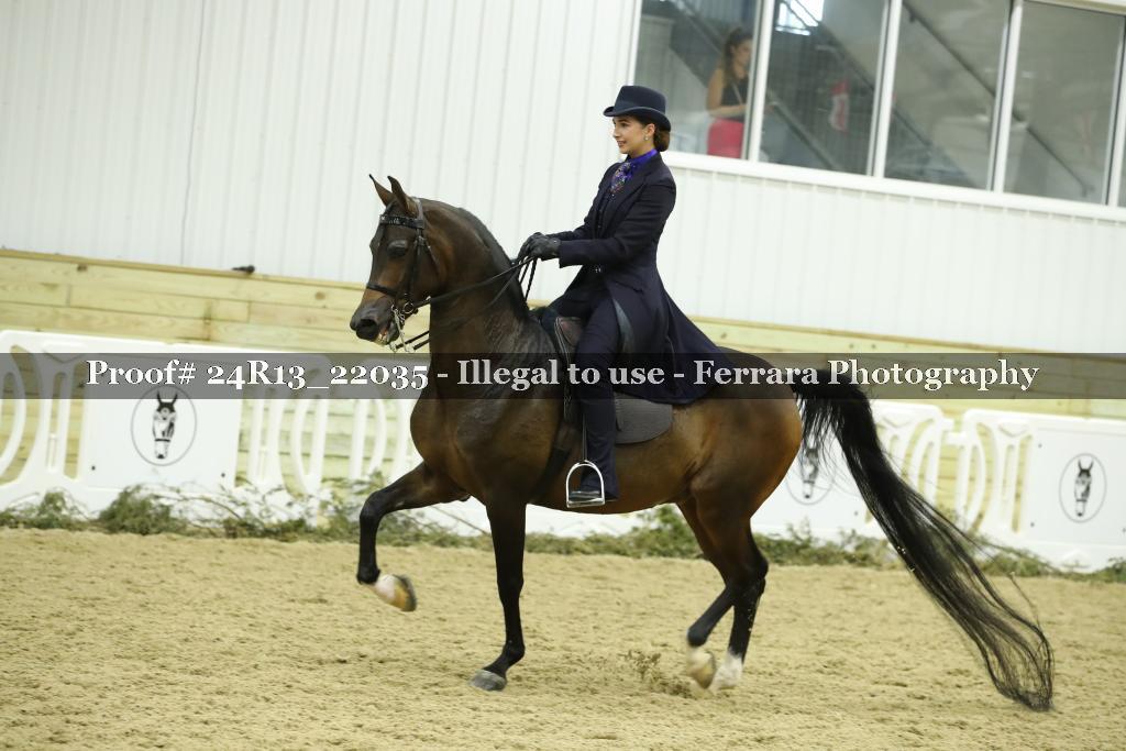 Proof 24R13_22035
