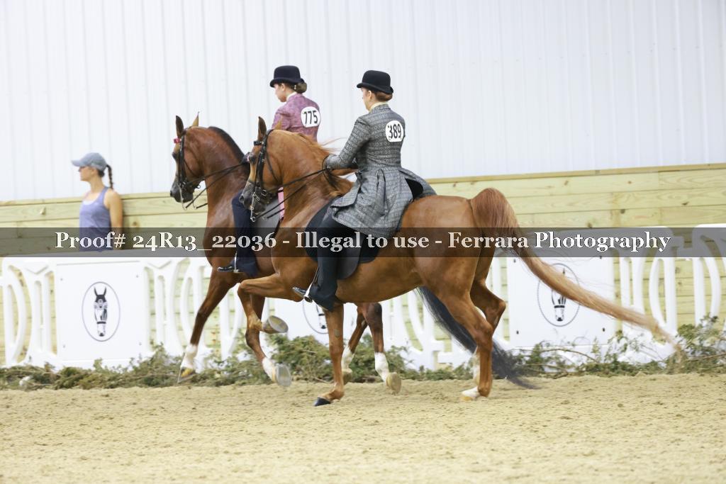 Proof 24R13_22036