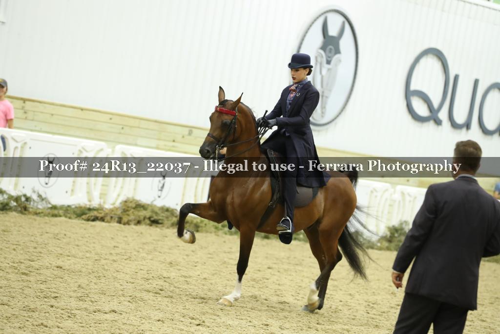 Proof 24R13_22037