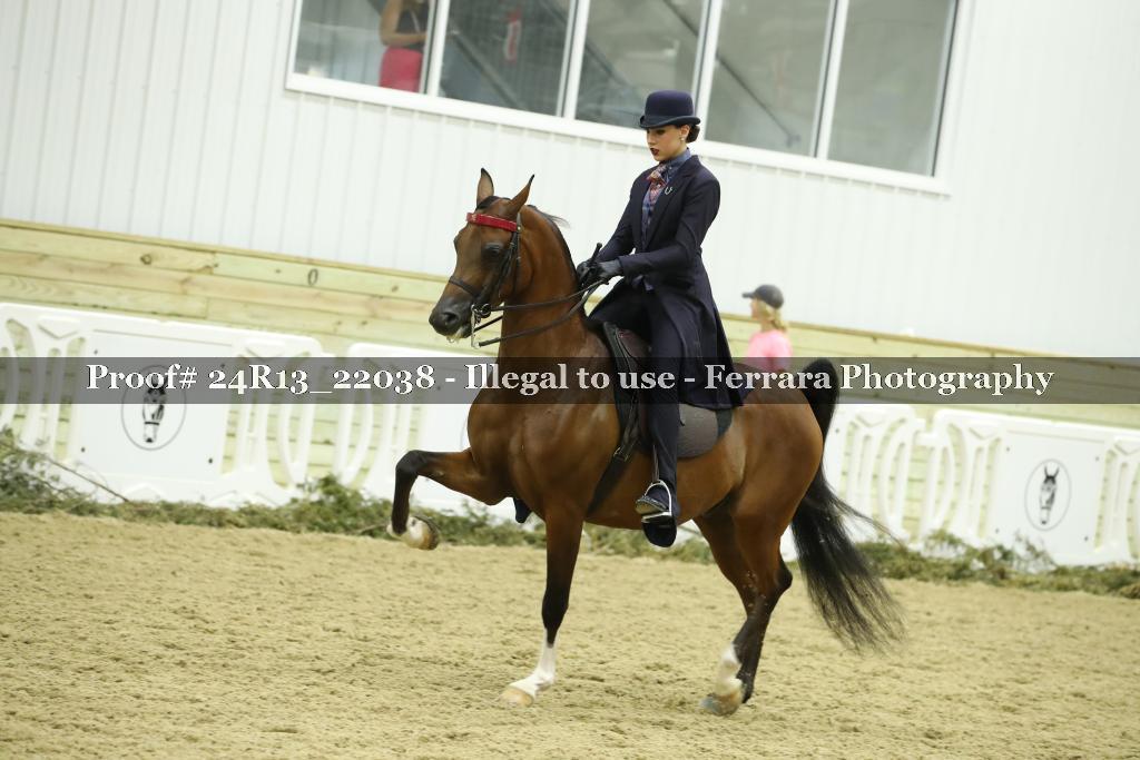 Proof 24R13_22038