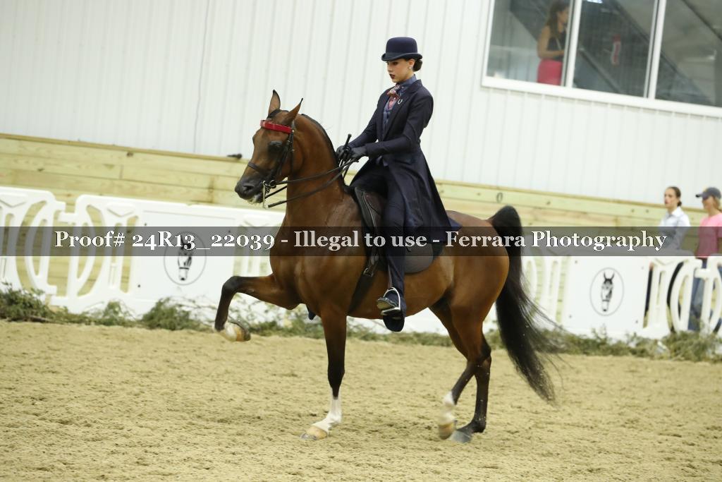 Proof 24R13_22039