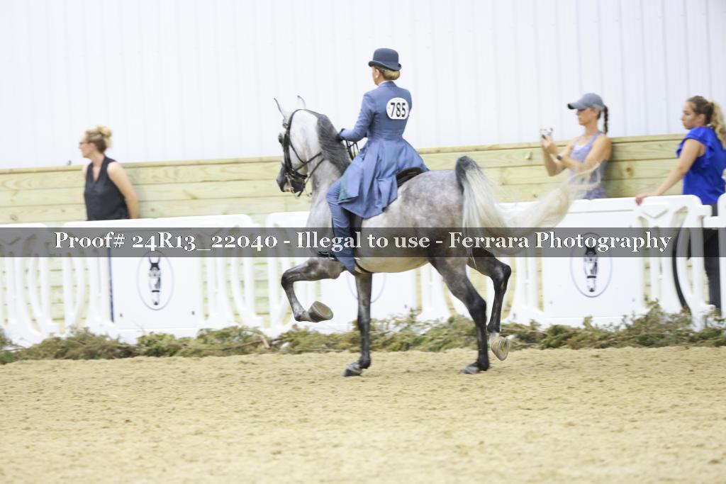 Proof 24R13_22040