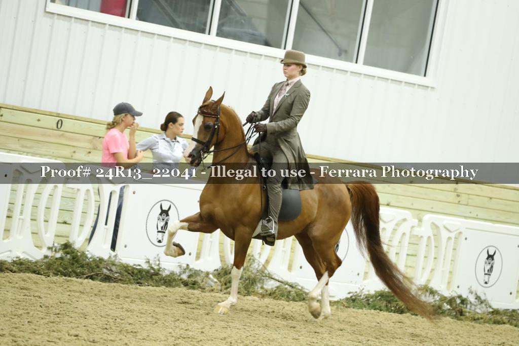 Proof 24R13_22041