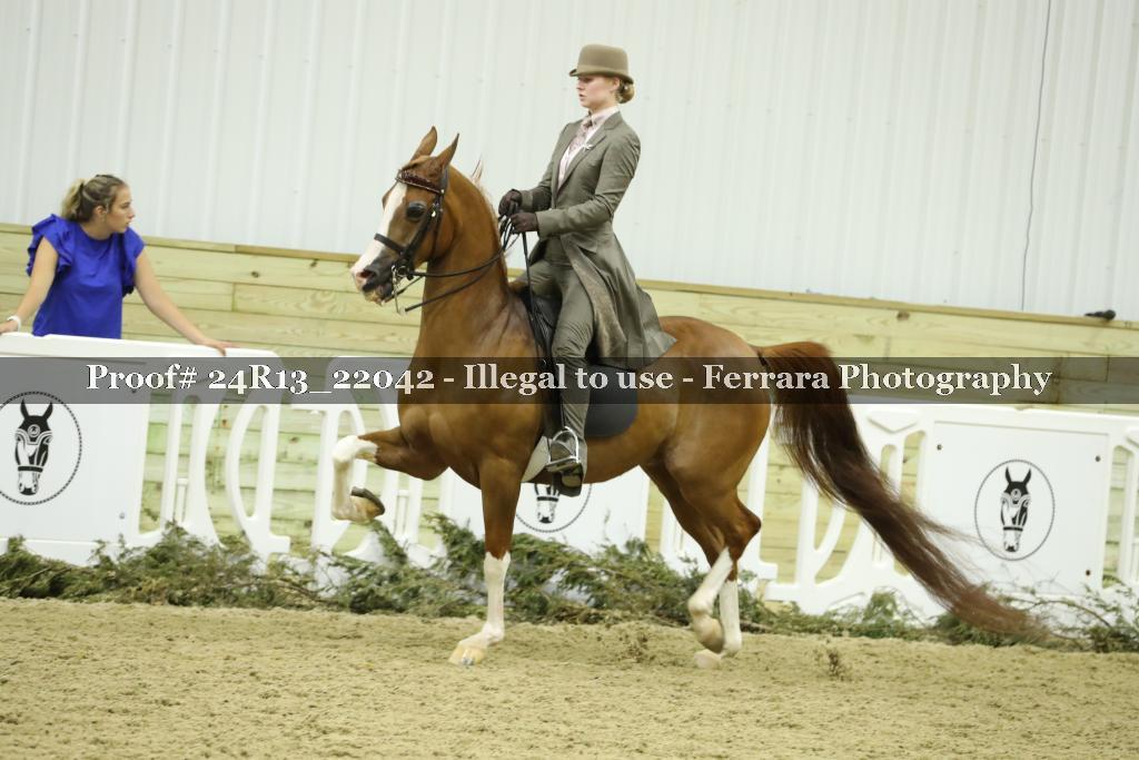 Proof 24R13_22042