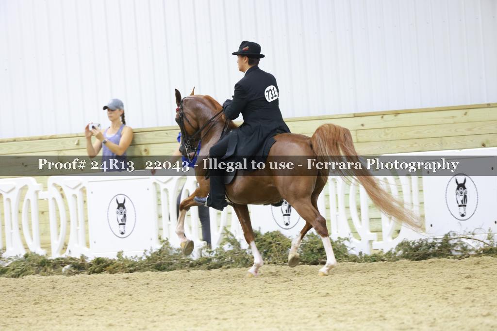 Proof 24R13_22043