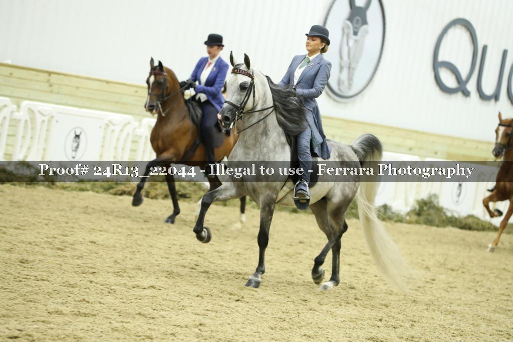 Proof 24R13_22044
