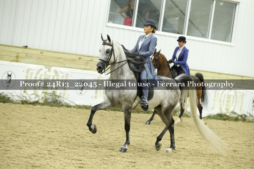 Proof 24R13_22045