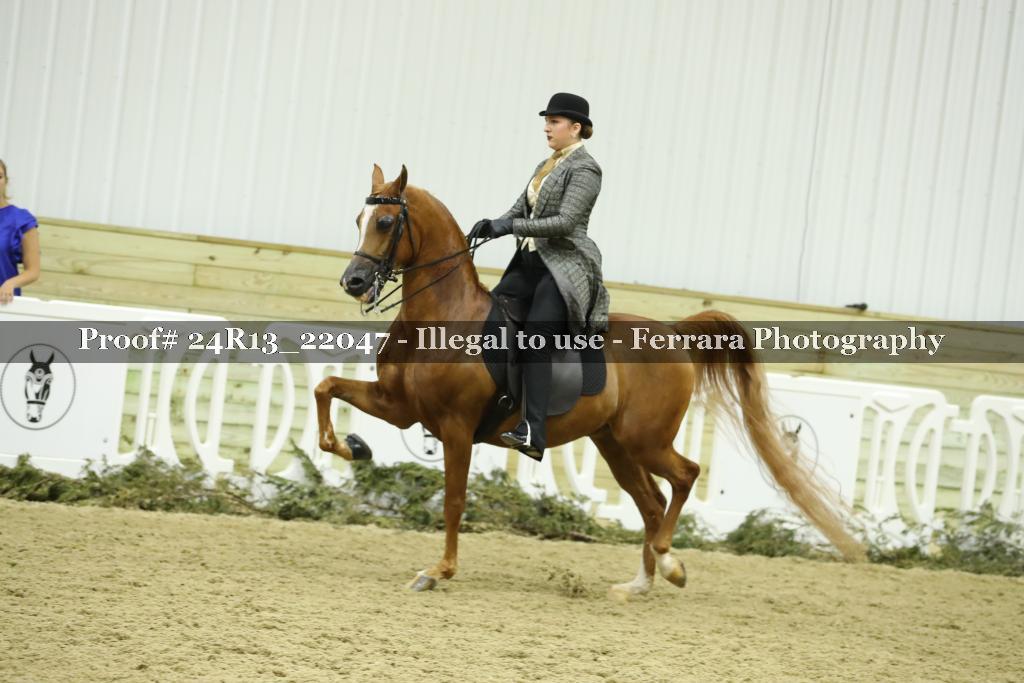 Proof 24R13_22047