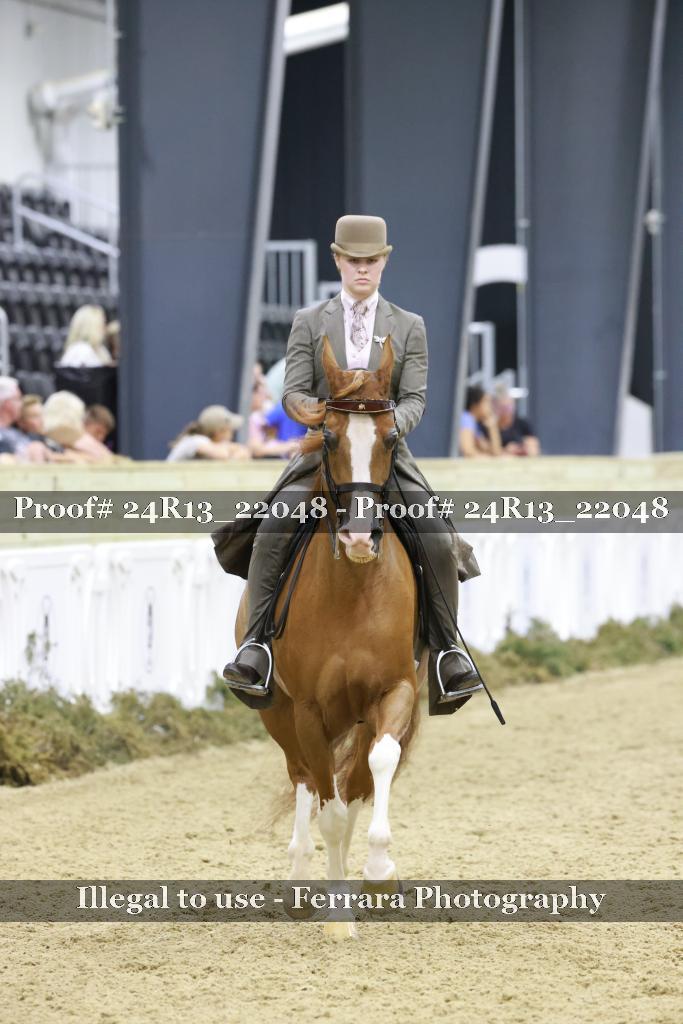 Proof 24R13_22048
