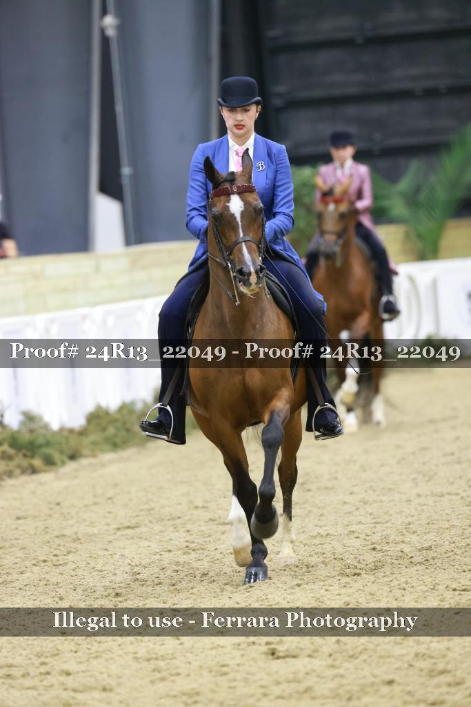 Proof 24R13_22049