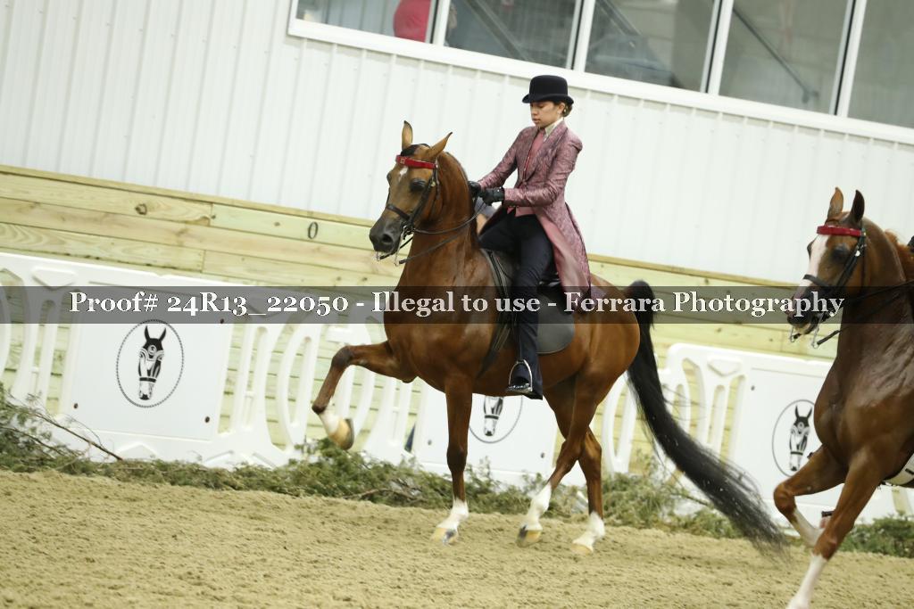 Proof 24R13_22050