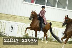 24R13_22050 proof