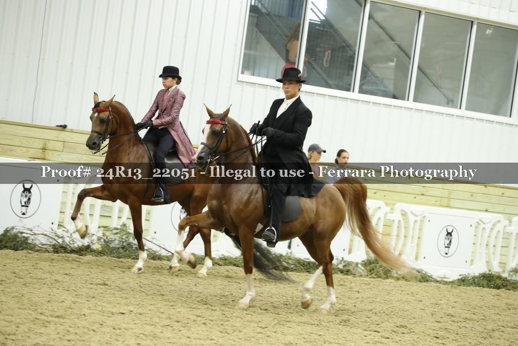 Proof 24R13_22051