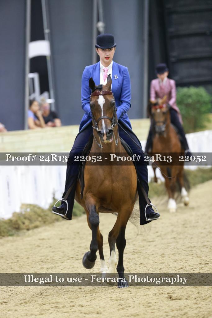 Proof 24R13_22052