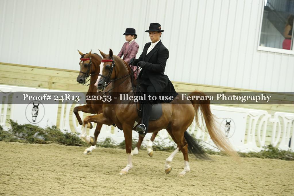 Proof 24R13_22053