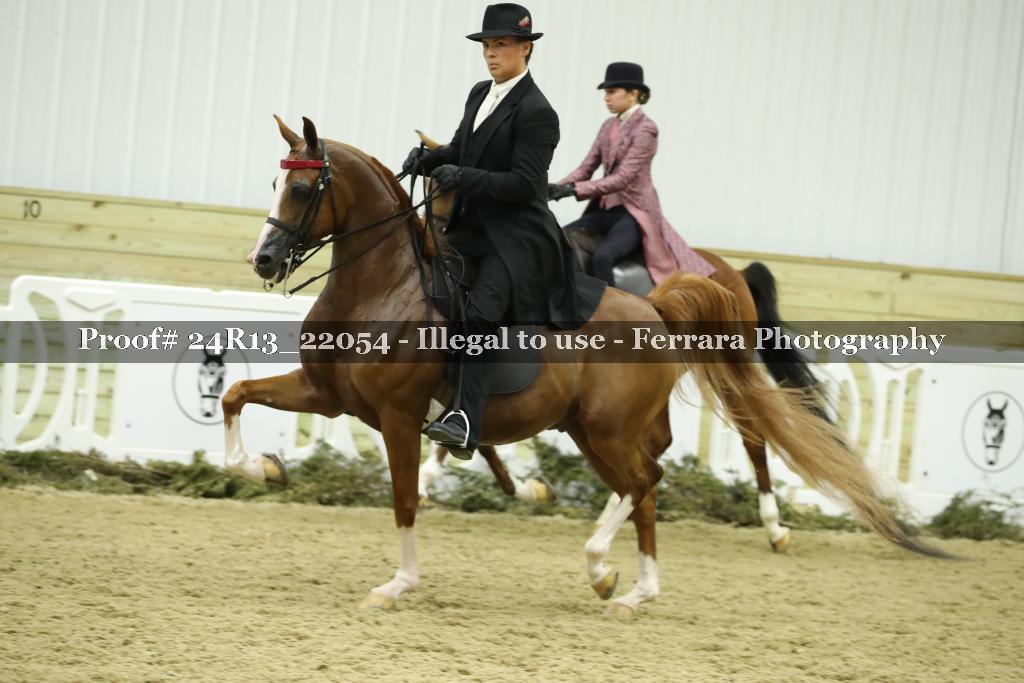 Proof 24R13_22054