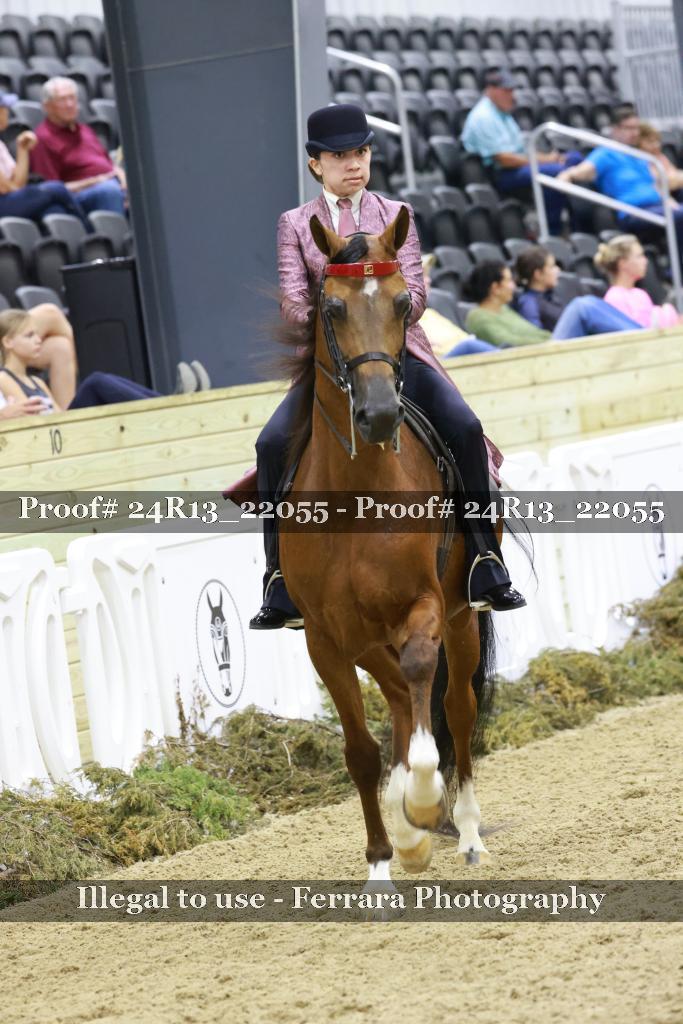 Proof 24R13_22055