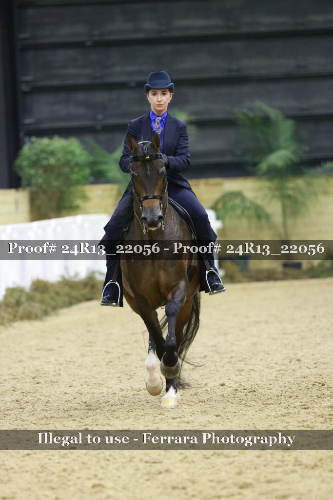 Proof 24R13_22056