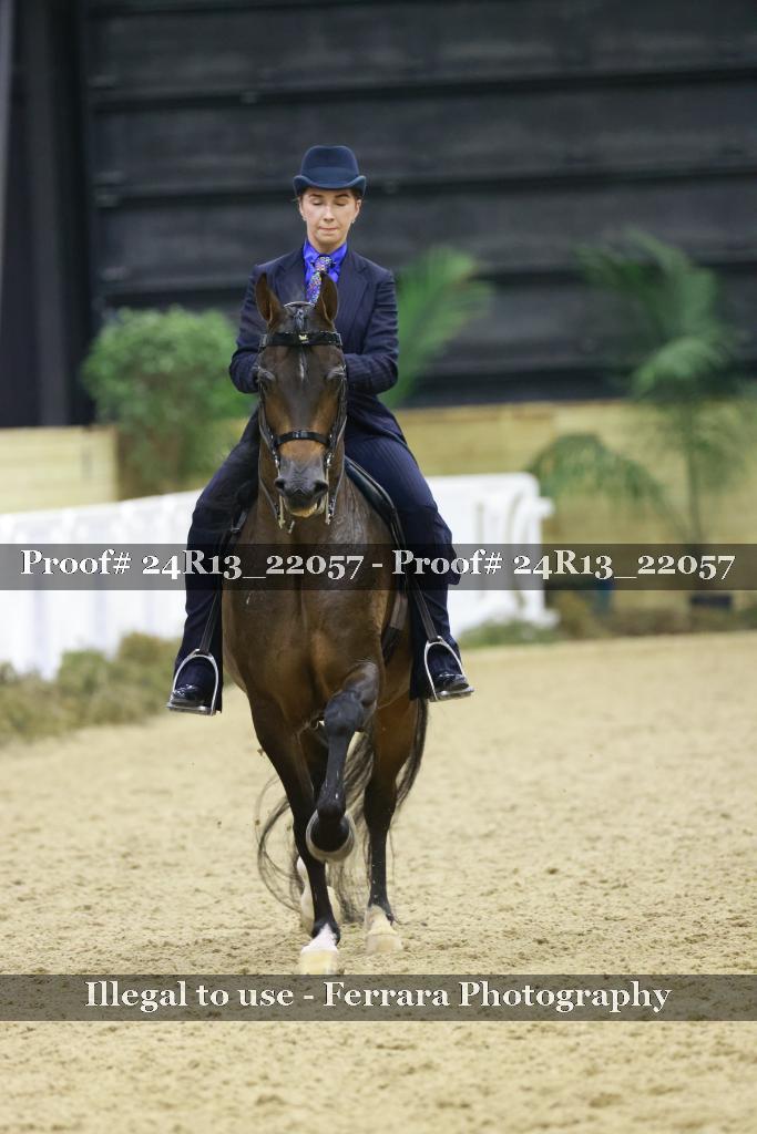 Proof 24R13_22057