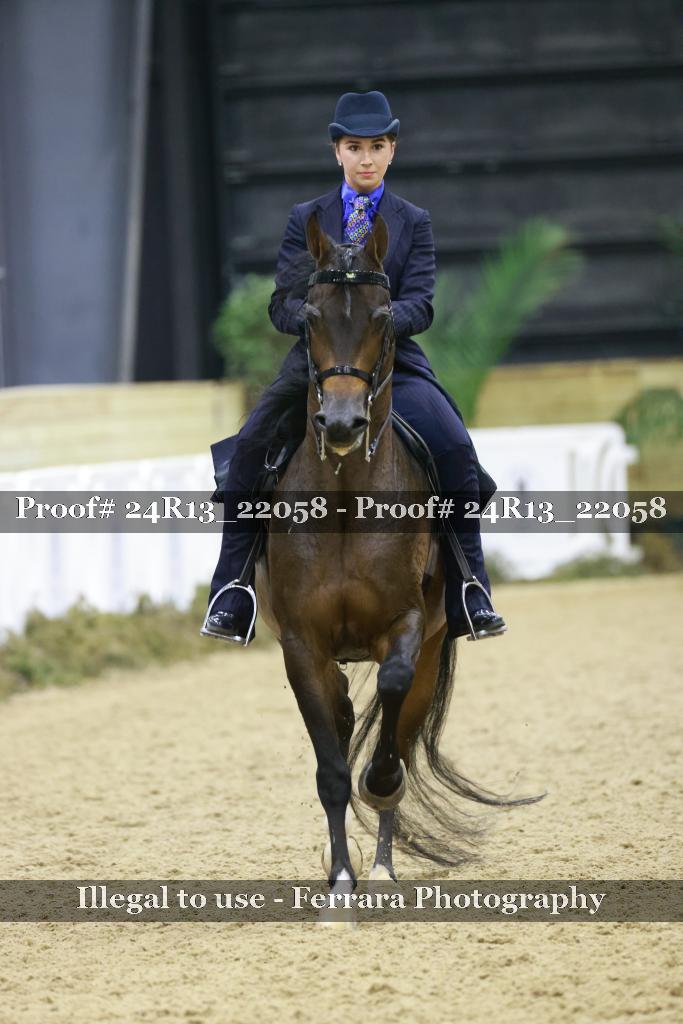 Proof 24R13_22058