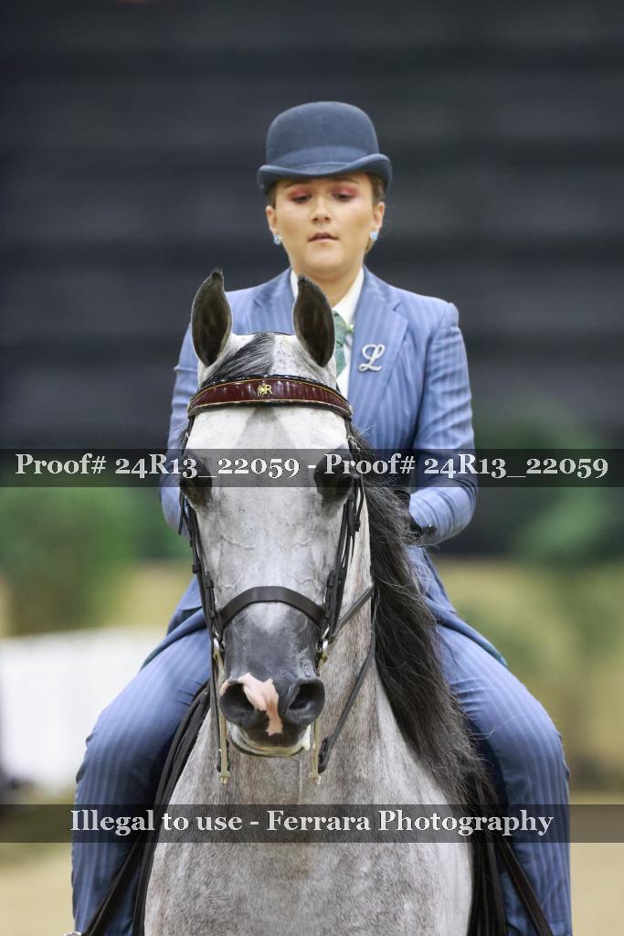 Proof 24R13_22059
