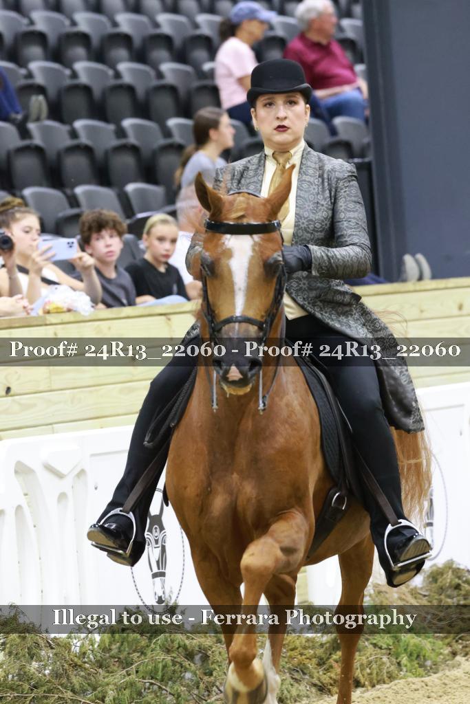 Proof 24R13_22060