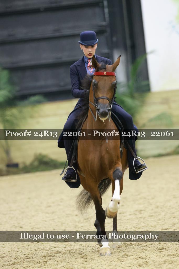 Proof 24R13_22061