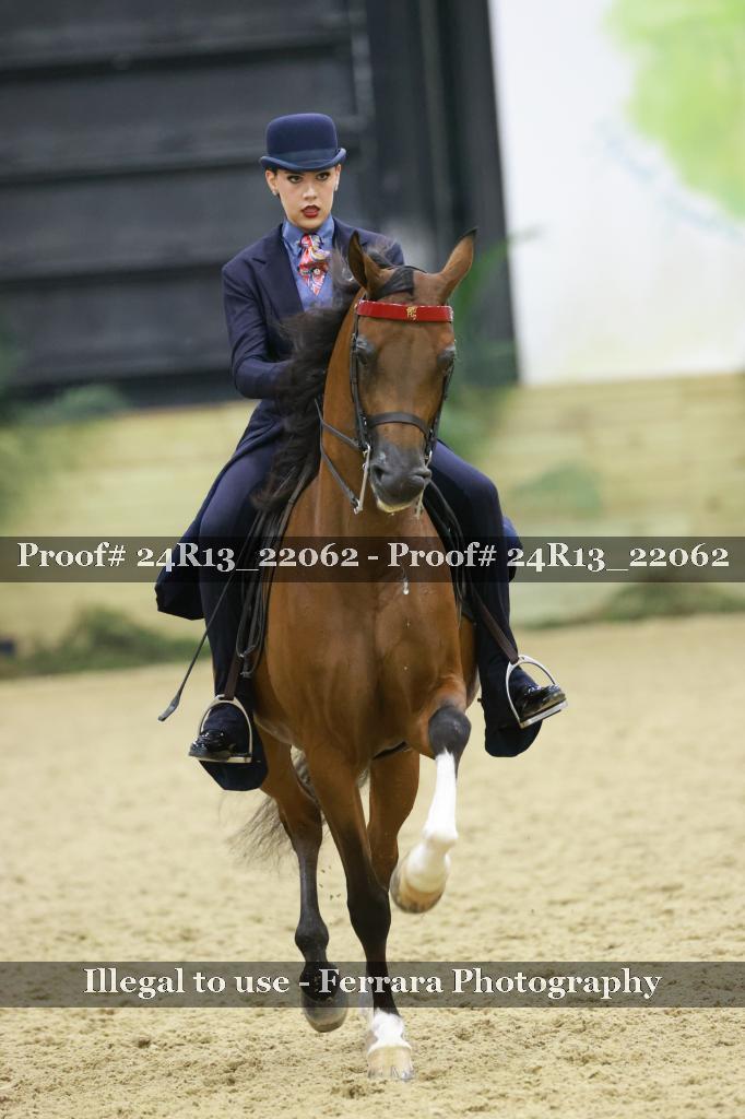 Proof 24R13_22062
