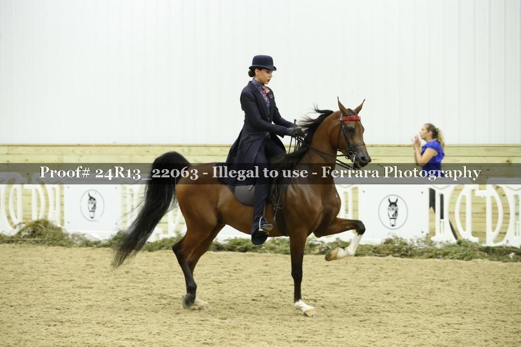 Proof 24R13_22063