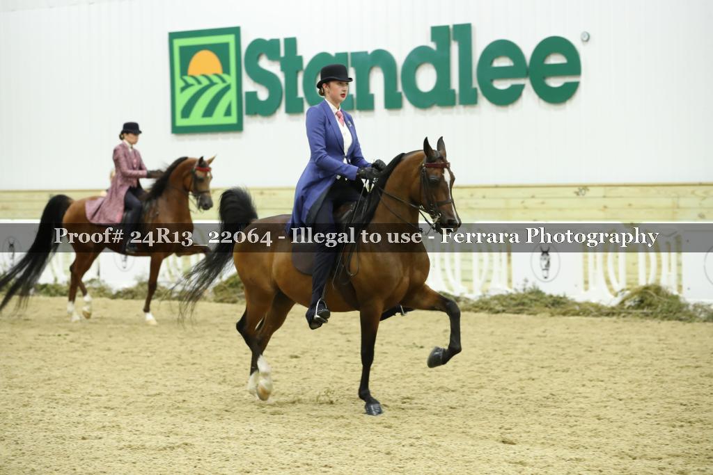 Proof 24R13_22064