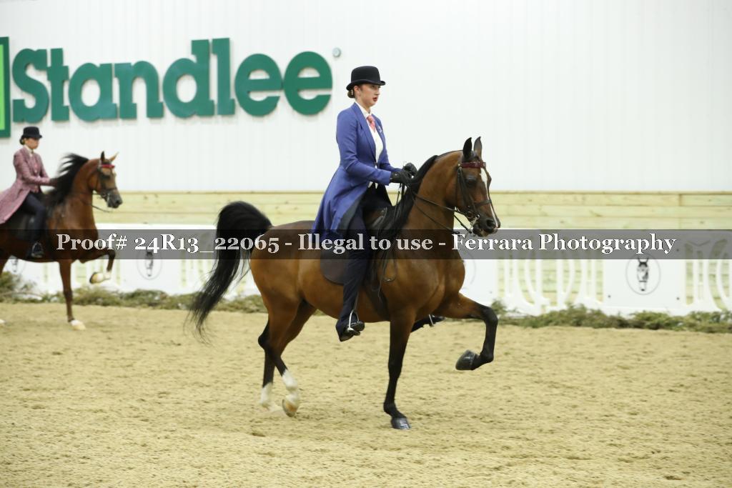 Proof 24R13_22065