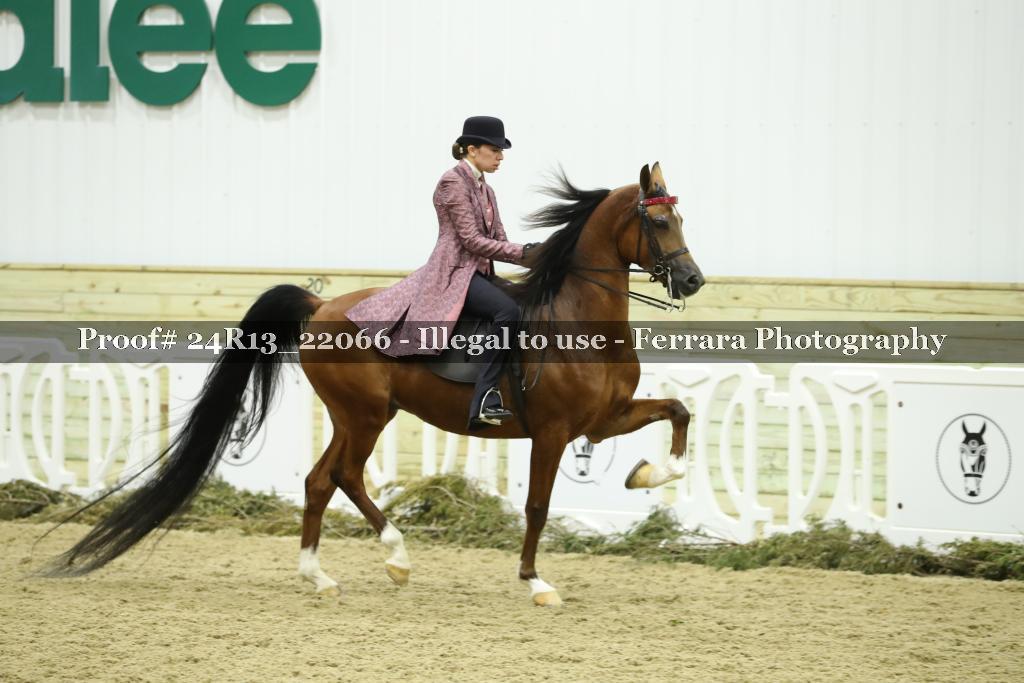 Proof 24R13_22066