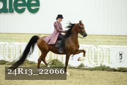 24R13_22066 proof