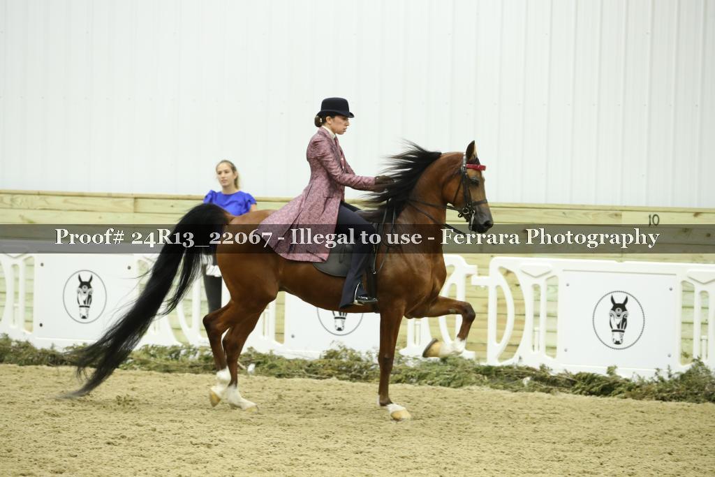 Proof 24R13_22067
